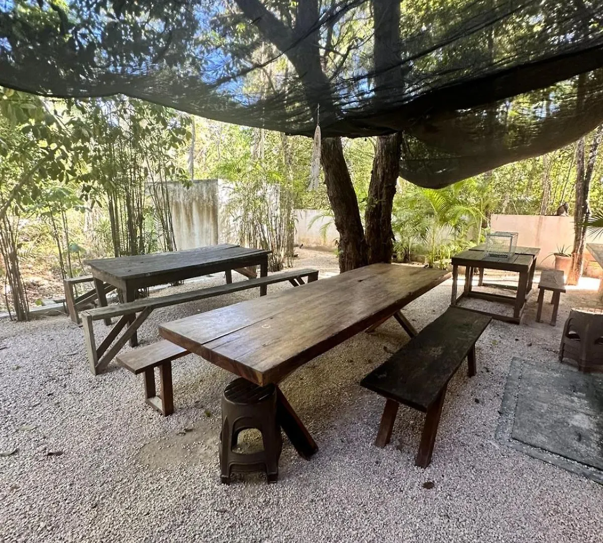Bed & Breakfast Bed and Breakfast Casa Mag-Ha Francisco Uh May Mexiko